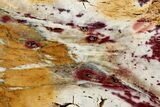 Colorful Polished Killaloe Opal Slab - Australia #353860-1